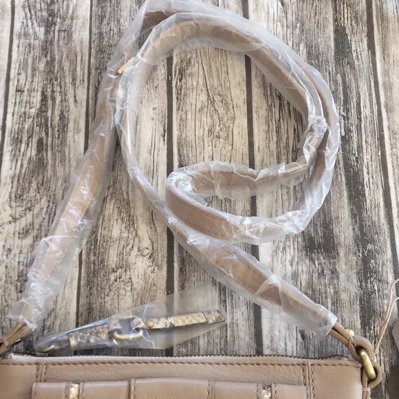 rafe 😍😍😍😍 gorgeous great buy Last one🥰 - Picture 4 of 8